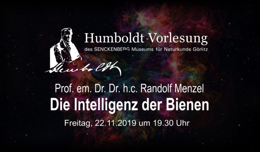 Banner Humboldtvorleseung 2019