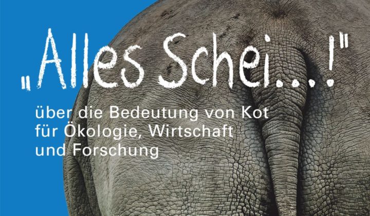 Titelbanner Sonderausstellung Alles Scheiße Görlitz 2019