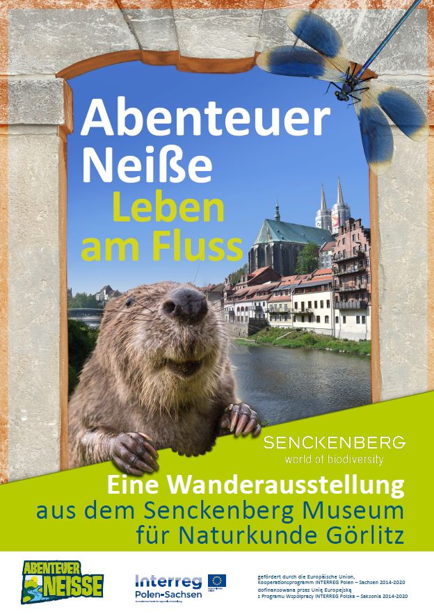 Plakat Abenteuer Neiße deutsch
