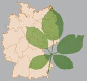 Logo Virtuelles Lausitz Herbarium