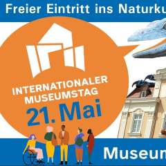 Internationaler Museumstag 2023: Senckenberg Museum für Naturkunde mit kostenlosem Eintritt dabei