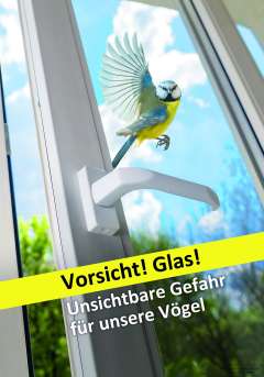 »Vorsicht! Glas! Unsichtbare Gefahr für unsere Vögel«