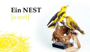 Ein Nest Ausstellung