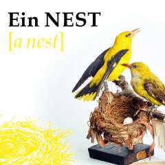 Ein Nest Ausstellung