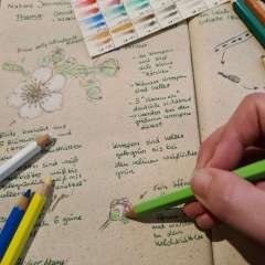 Nature Journaling Reihe